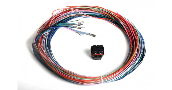 Holley 558-402 Auxiliary Harness | Ships Free at EFISystemPro.Com | J2B ...