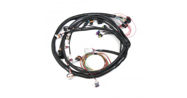 Holley 558-103 Main Harness | Ships Free at EFISystemPro.Com